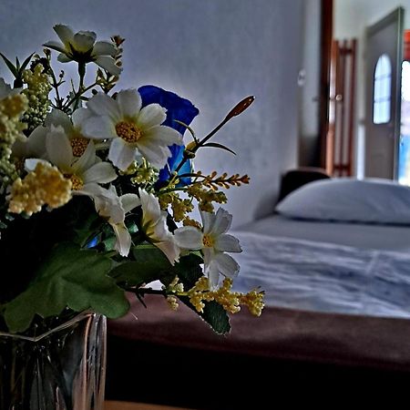 Sarajevo Apartment Aila 外观 照片